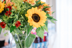 0013_Progeno_B_15_23052025