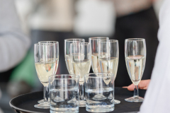 0525_Progeno_B_15_23052025