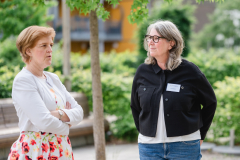 0597_Progeno_B_15_23052025